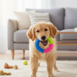 Jouet Chien 